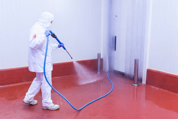 Best Rust Removal  in Lugoff, SC